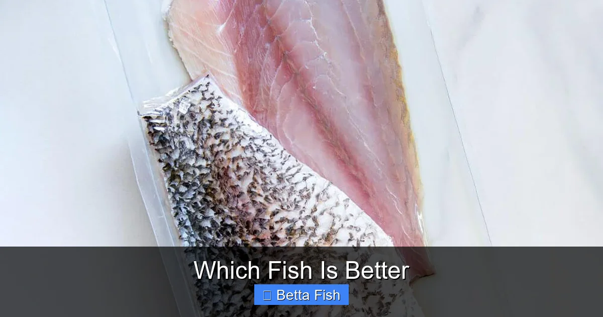 Which Fish Is Better