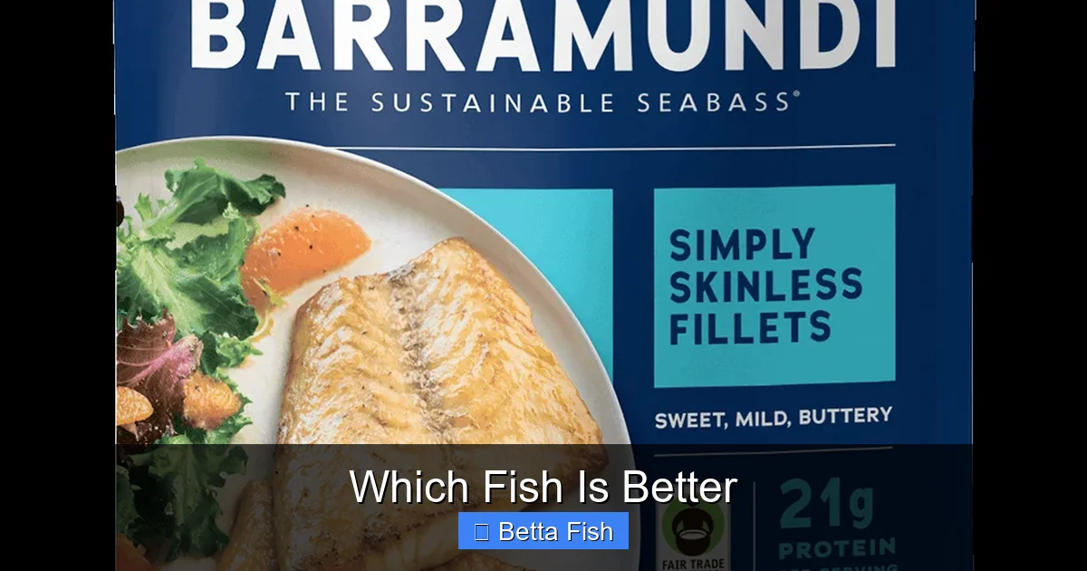 Which Fish Is Better