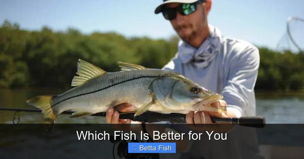 Which Fish Is Better for You