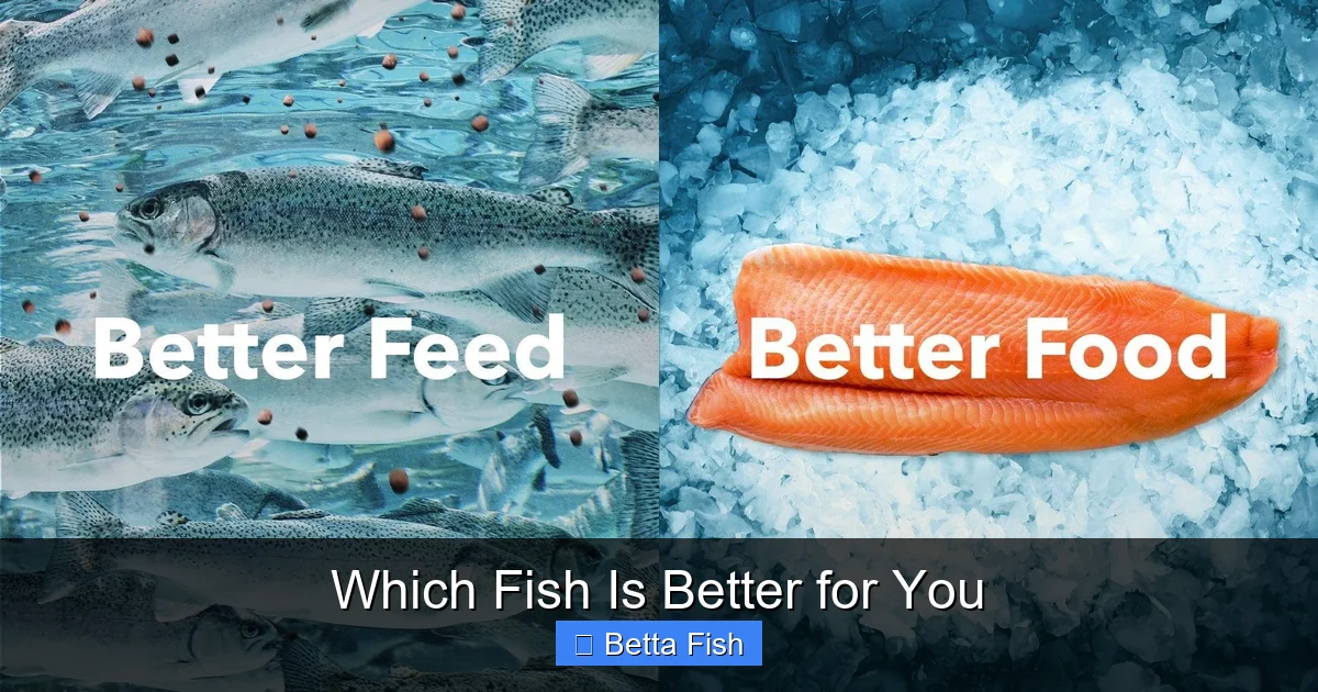 Which Fish Is Better for You