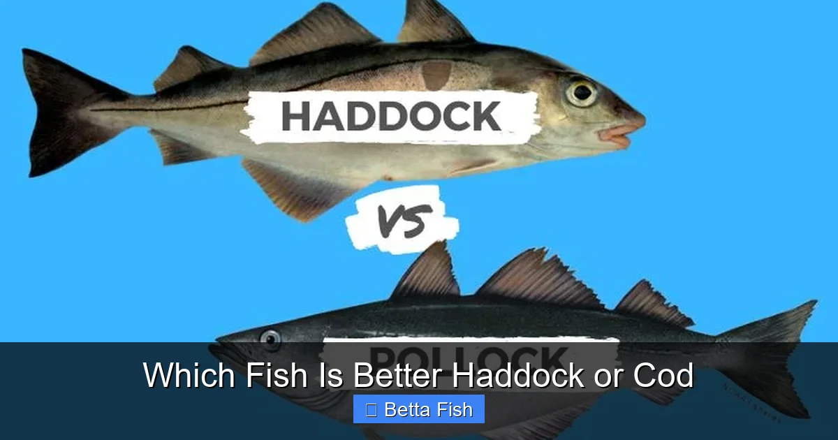Which Fish Is Better Haddock or Cod