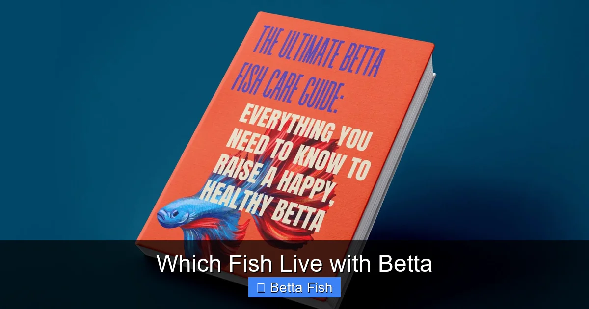 Which Fish Live with Betta