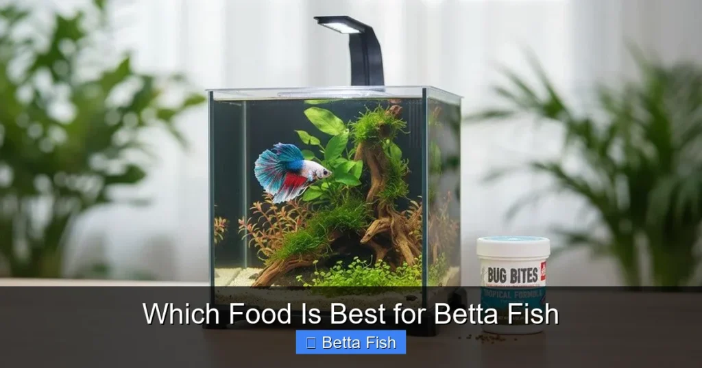 Which Food Is Best for Betta Fish