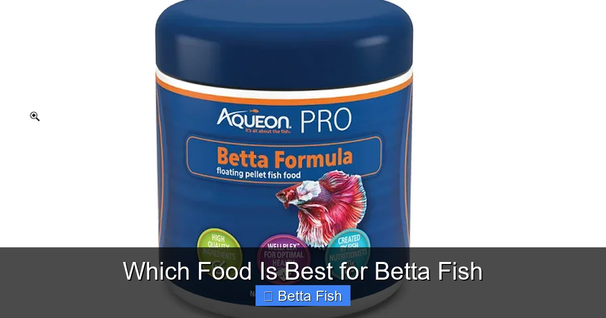 Which Food Is Best for Betta Fish