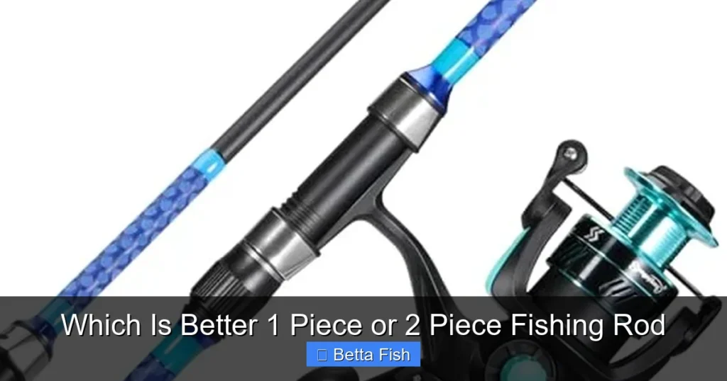 Which Is Better 1 Piece or 2 Piece Fishing Rod