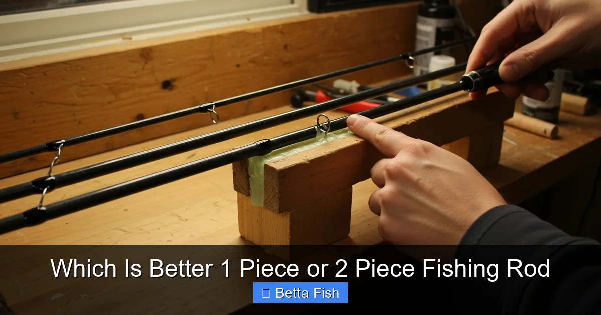 Which Is Better 1 Piece or 2 Piece Fishing Rod