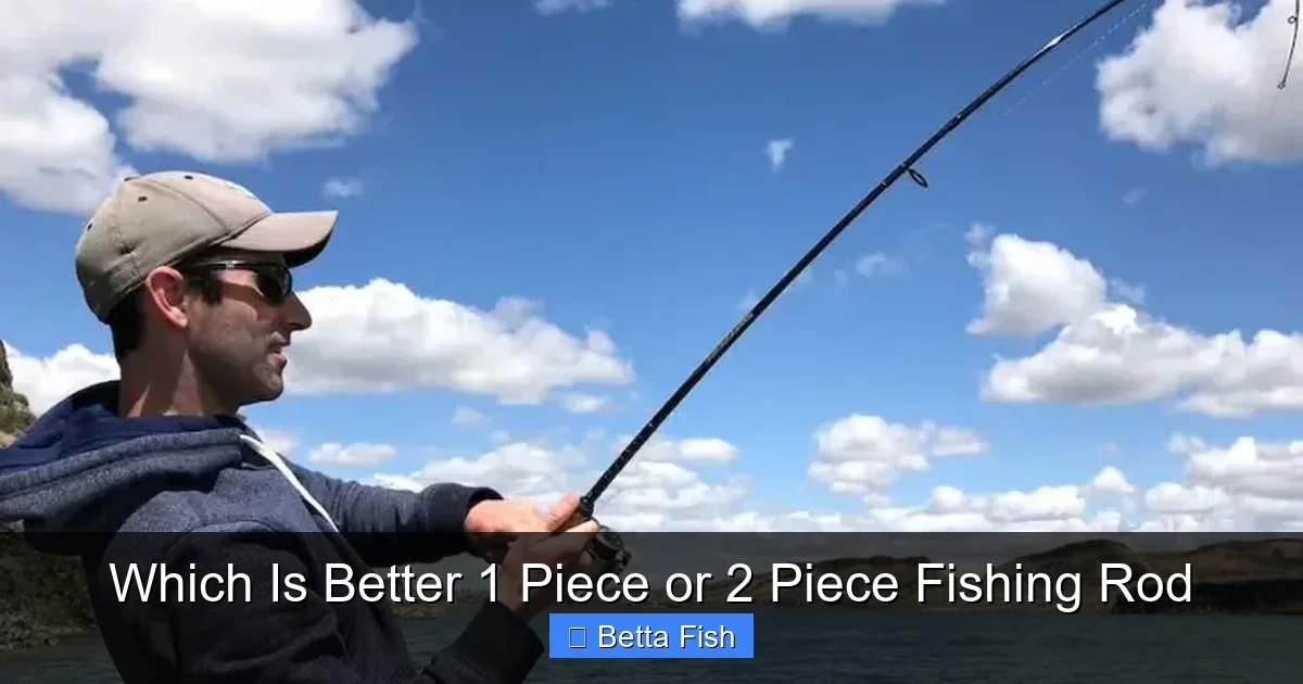 Which Is Better 1 Piece or 2 Piece Fishing Rod