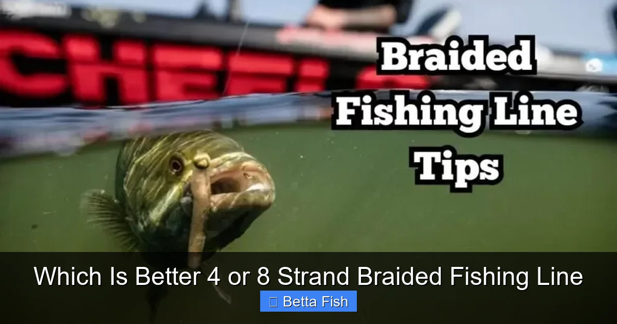 Which Is Better 4 or 8 Strand Braided Fishing Line
