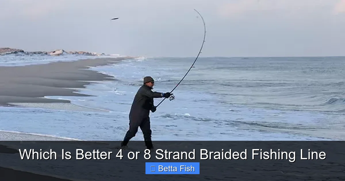 Which Is Better 4 or 8 Strand Braided Fishing Line