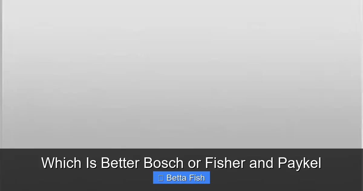 Which Is Better Bosch or Fisher and Paykel