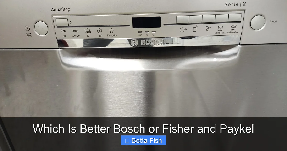 Which Is Better Bosch or Fisher and Paykel