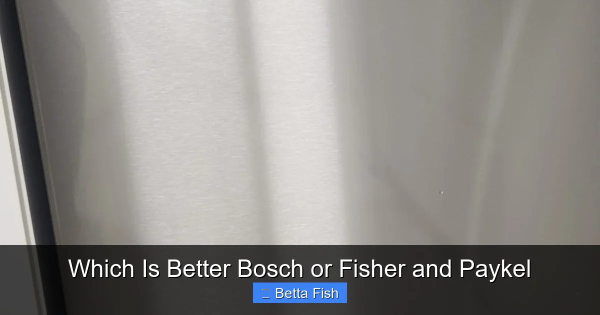 Which Is Better Bosch or Fisher and Paykel