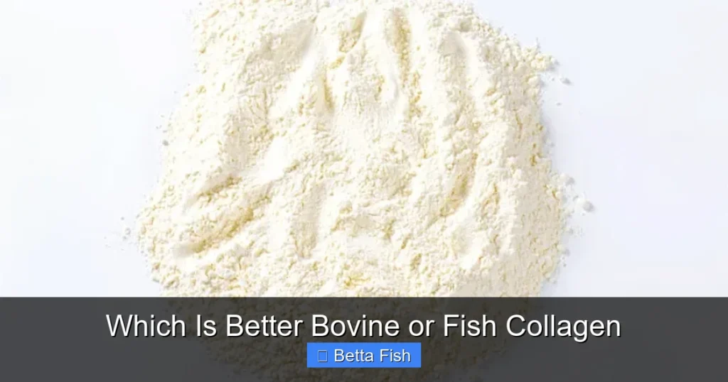 Which Is Better Bovine or Fish Collagen