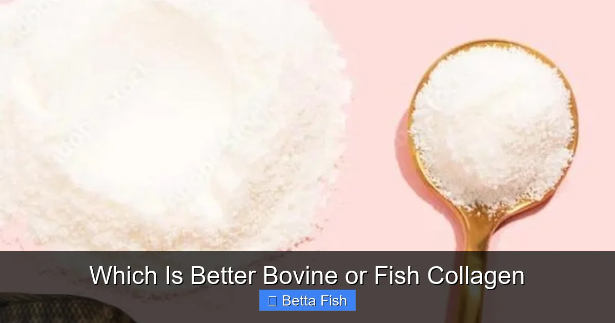 Which Is Better Bovine or Fish Collagen