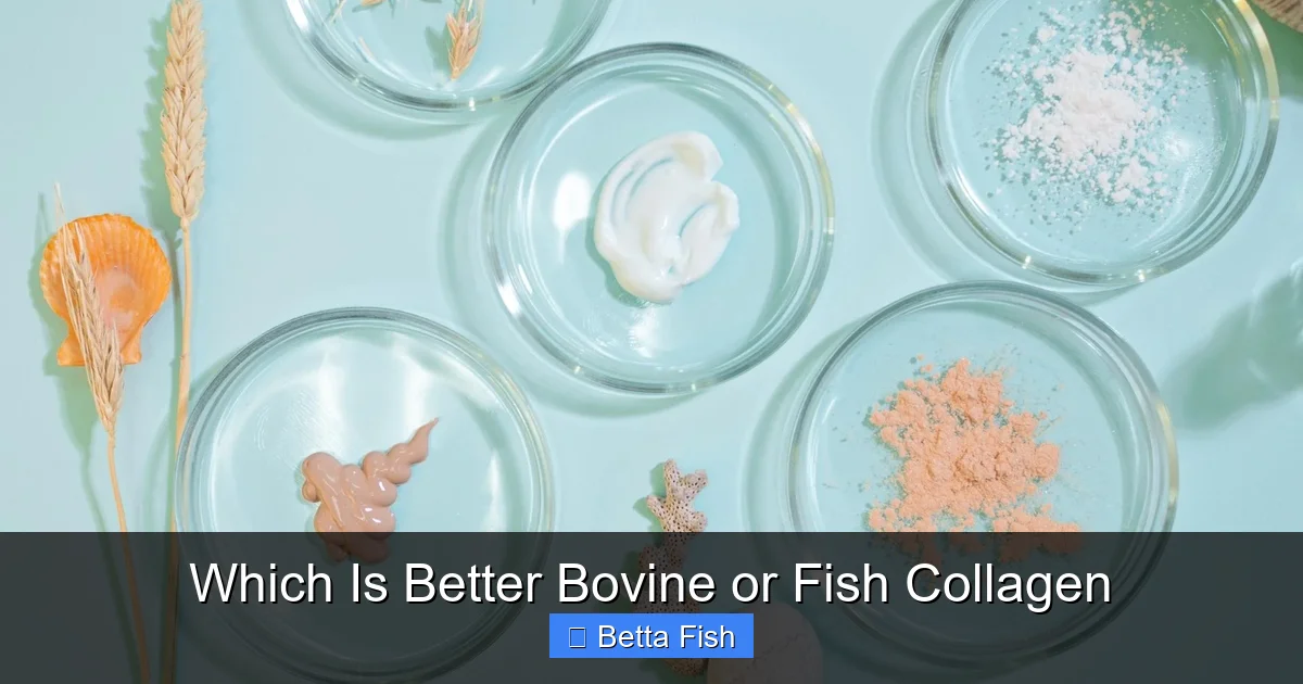 Which Is Better Bovine or Fish Collagen