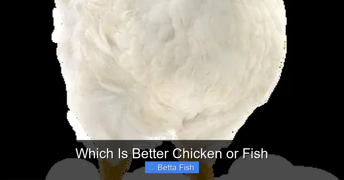 Which Is Better Chicken or Fish
