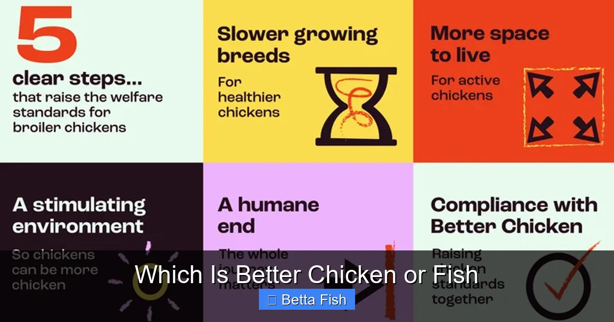 Which Is Better Chicken or Fish