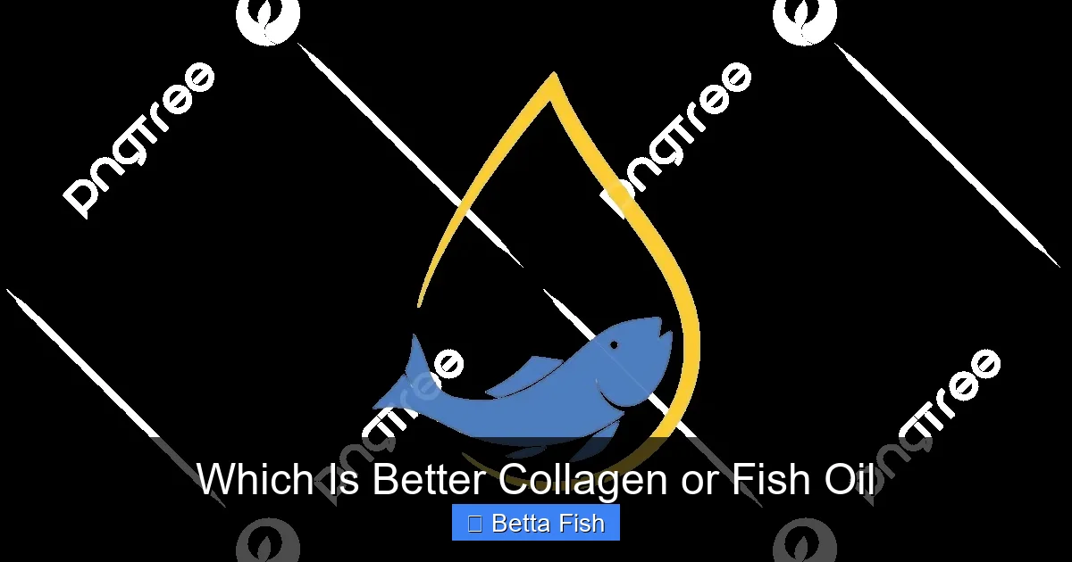 Which Is Better Collagen or Fish Oil