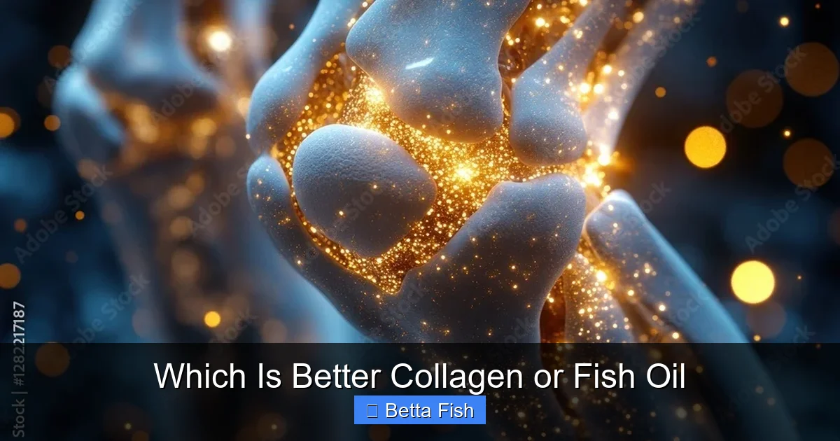 Which Is Better Collagen or Fish Oil
