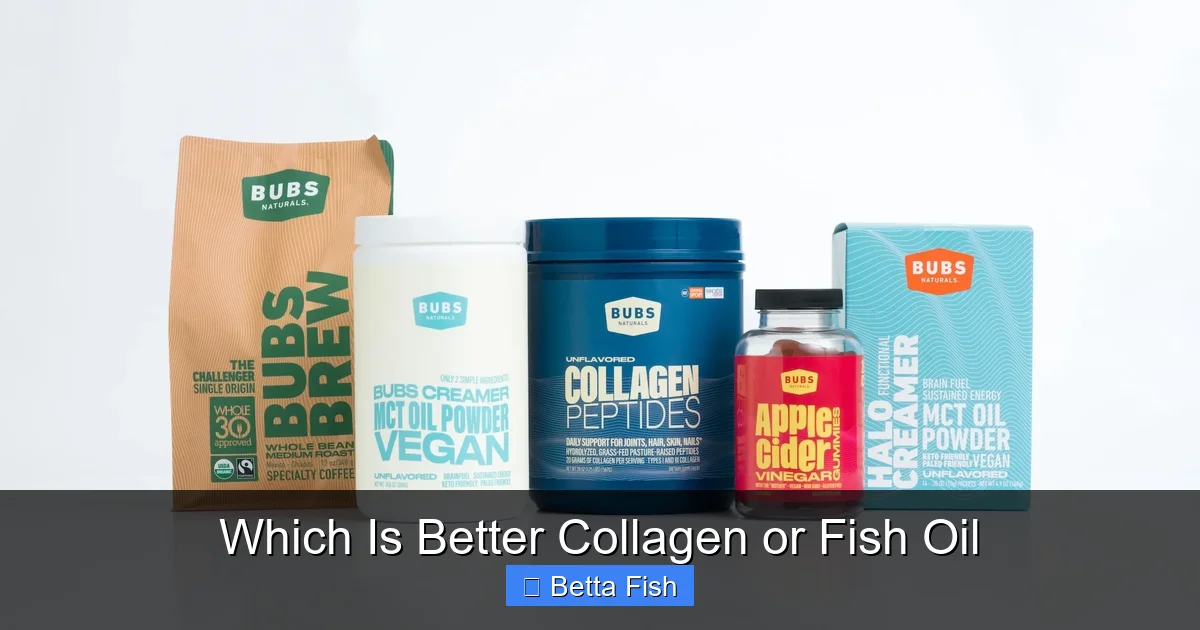Which Is Better Collagen or Fish Oil