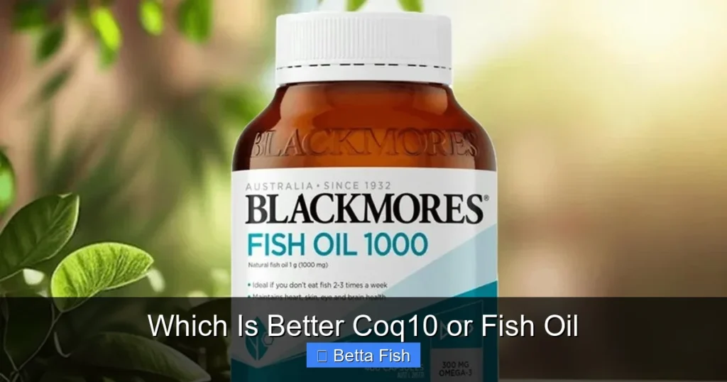 Which Is Better Coq10 or Fish Oil