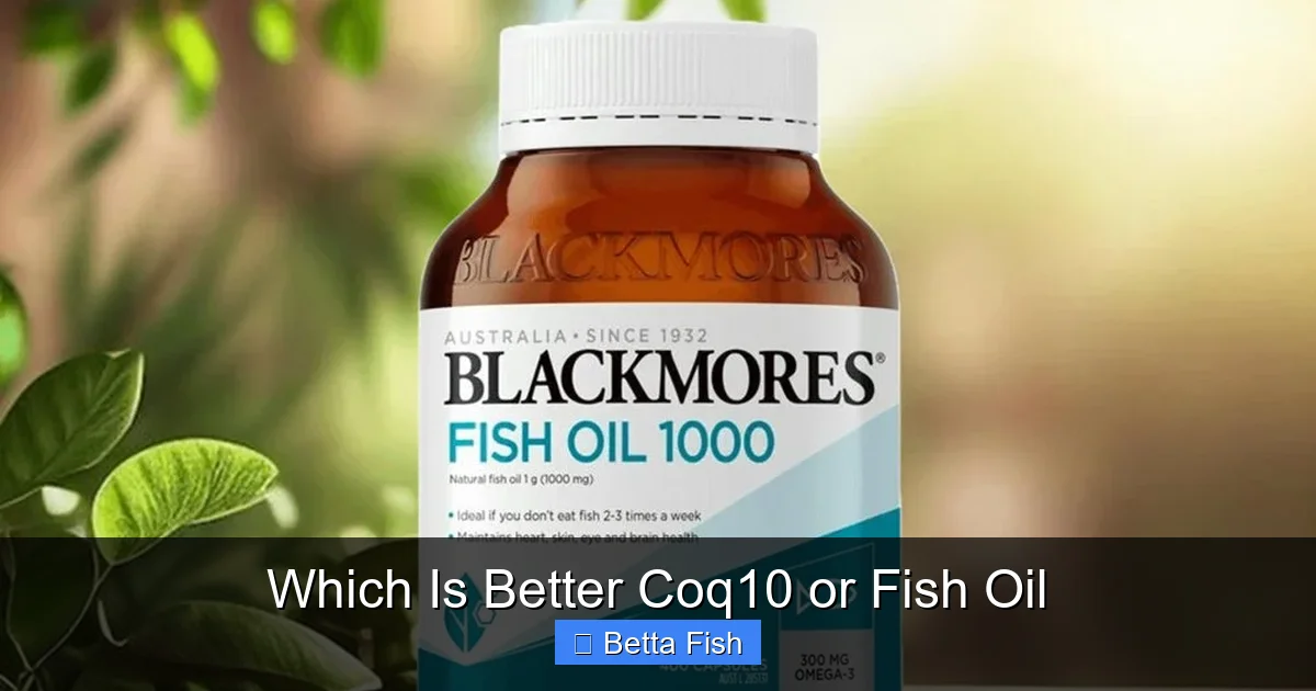 Which Is Better Coq10 or Fish Oil