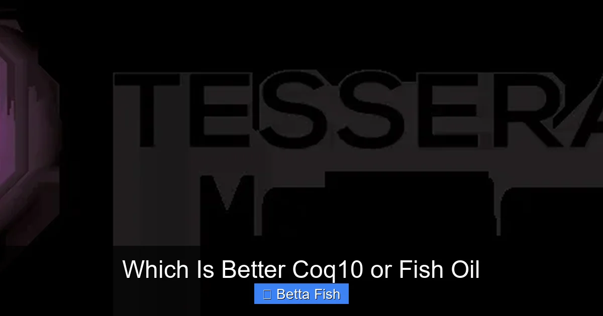 Which Is Better Coq10 or Fish Oil