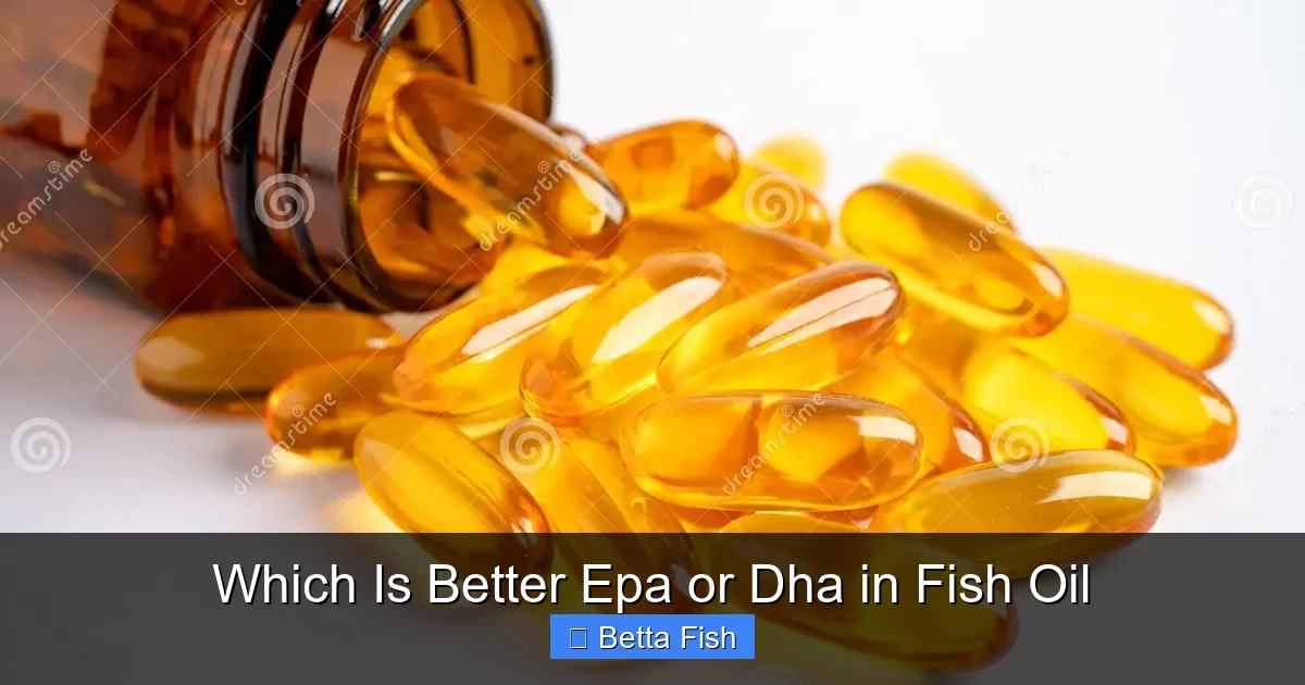 Which Is Better Epa or Dha in Fish Oil