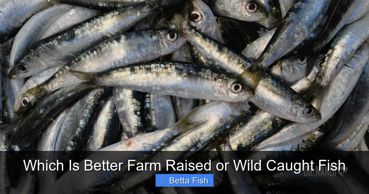 Which Is Better Farm Raised or Wild Caught Fish