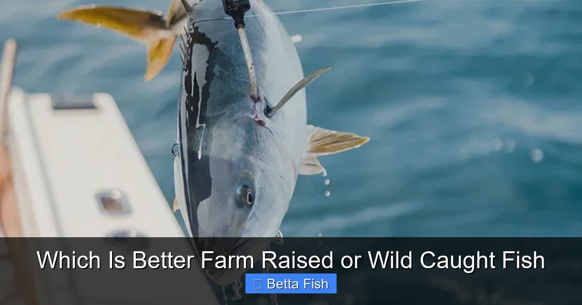 Which Is Better Farm Raised or Wild Caught Fish