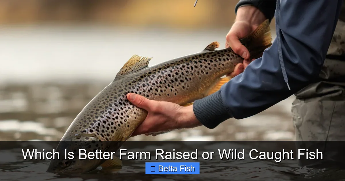 Which Is Better Farm Raised or Wild Caught Fish