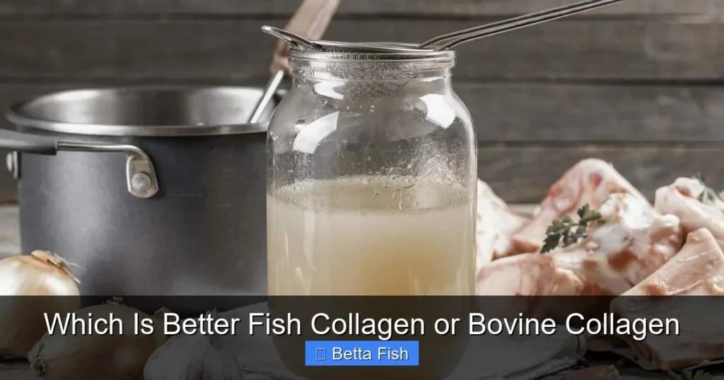 Which Is Better Fish Collagen or Bovine Collagen