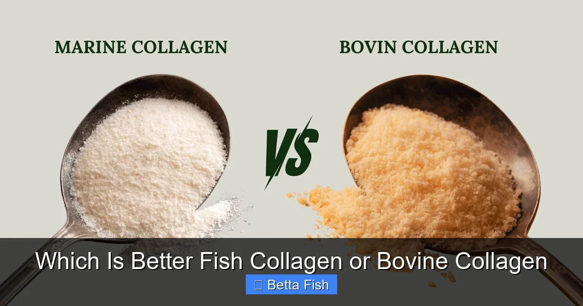 Which Is Better Fish Collagen or Bovine Collagen