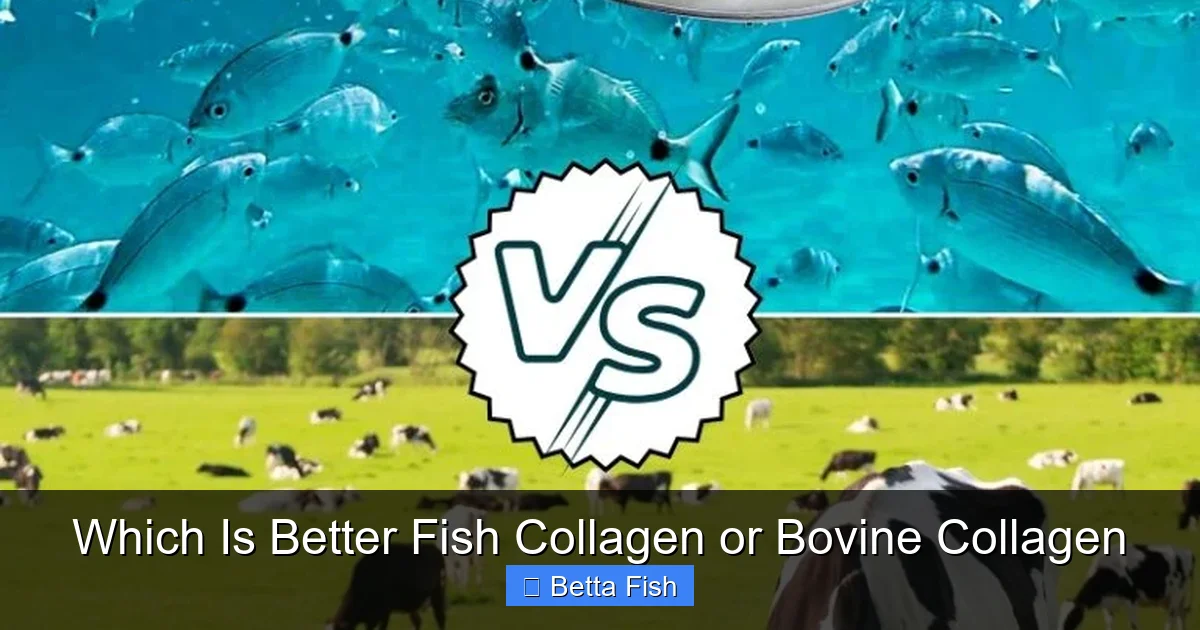 Which Is Better Fish Collagen or Bovine Collagen