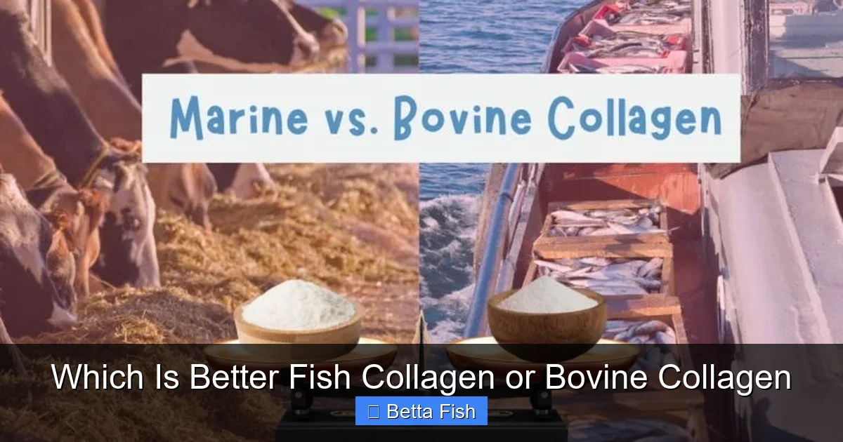 Which Is Better Fish Collagen or Bovine Collagen