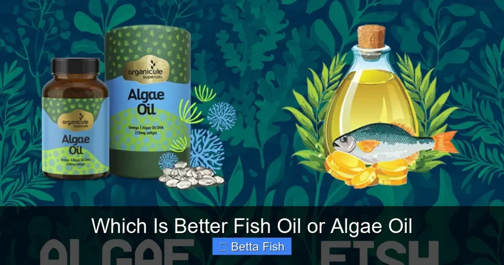 Which Is Better Fish Oil or Algae Oil