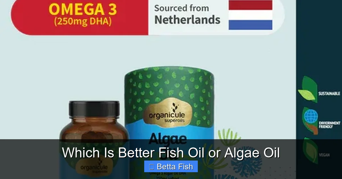 Which Is Better Fish Oil or Algae Oil
