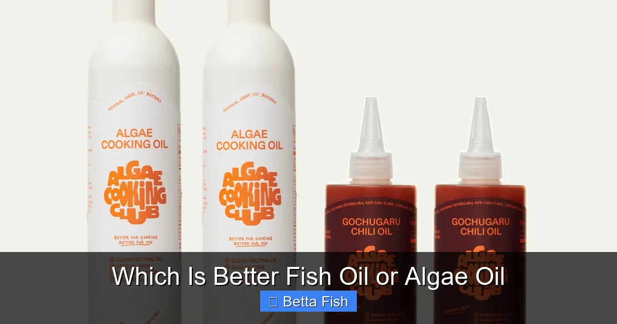 Which Is Better Fish Oil or Algae Oil