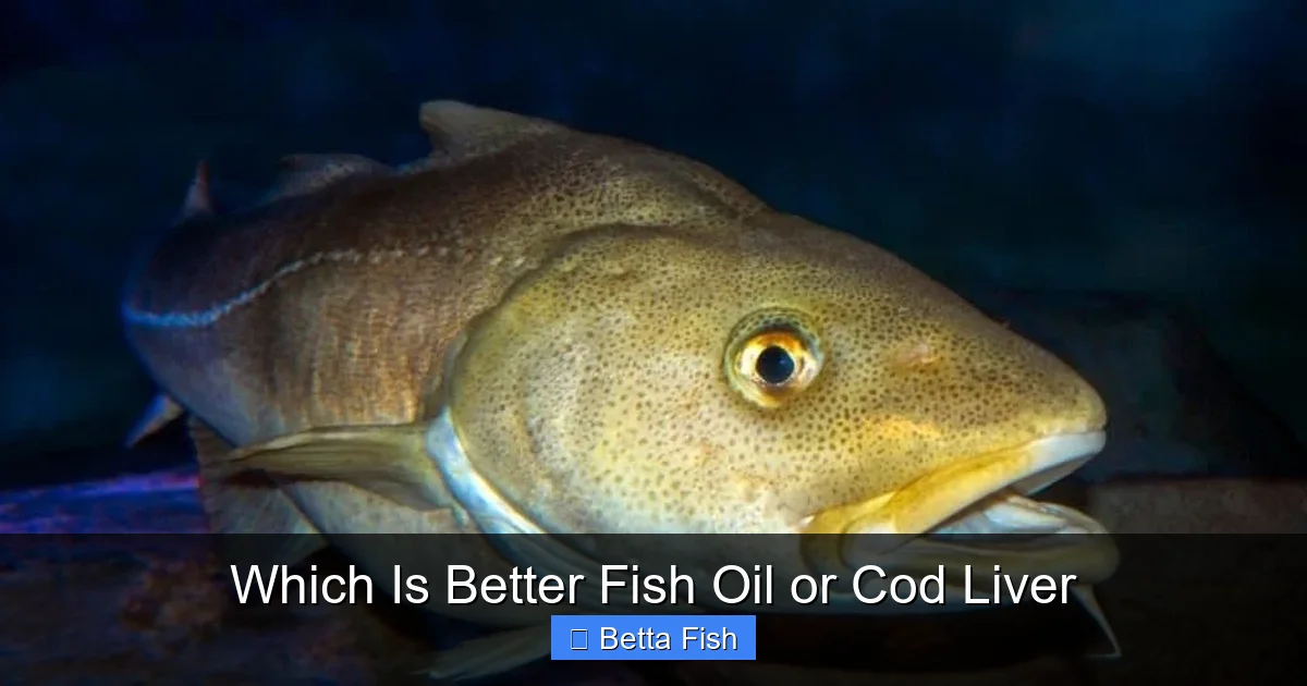 Which Is Better Fish Oil or Cod Liver