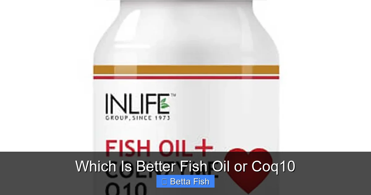 Which Is Better Fish Oil or Coq10