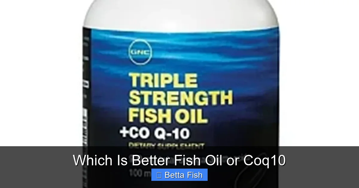 Which Is Better Fish Oil or Coq10