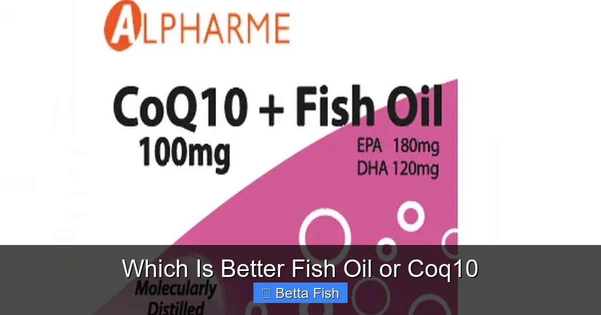 Which Is Better Fish Oil or Coq10