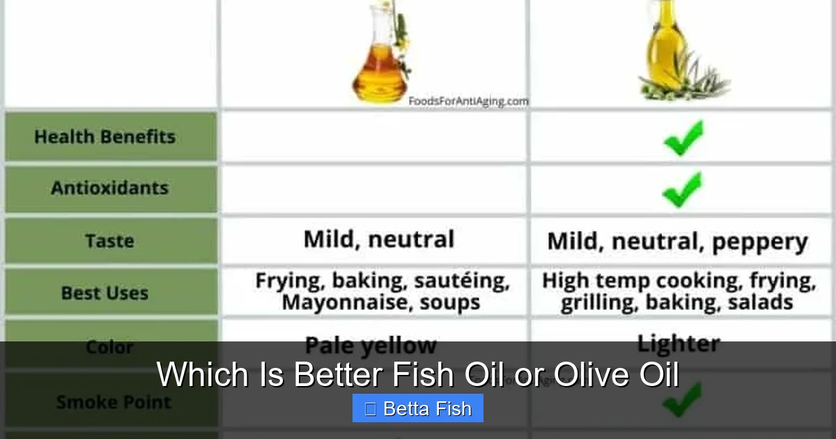 Which Is Better Fish Oil or Olive Oil