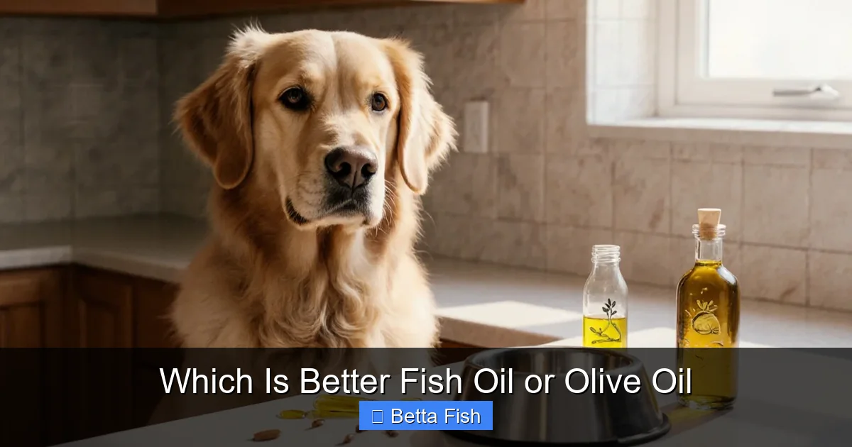 Which Is Better Fish Oil or Olive Oil