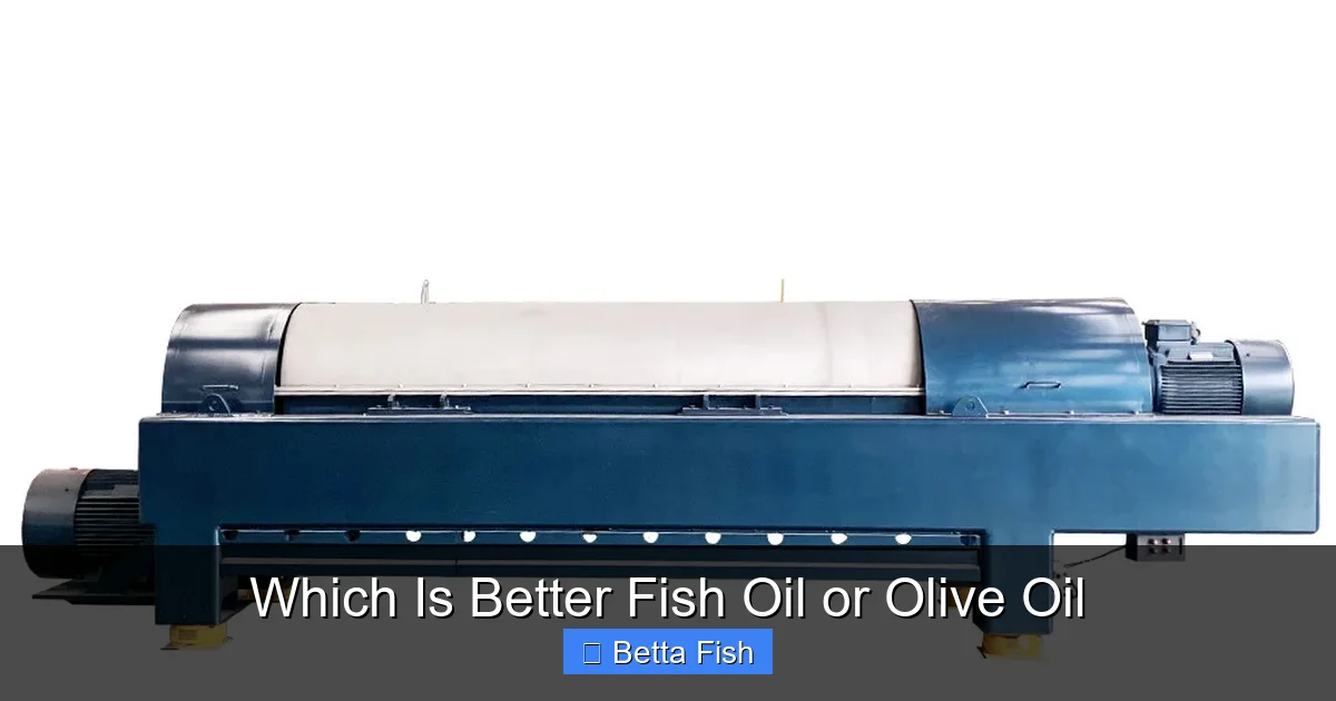 Which Is Better Fish Oil or Olive Oil