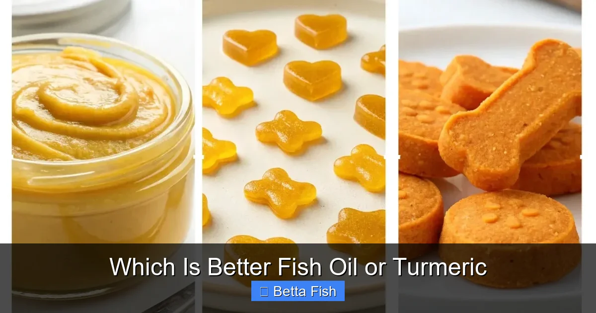 Which Is Better Fish Oil or Turmeric