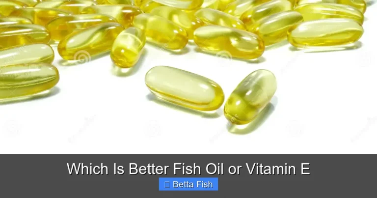 Which Is Better Fish Oil or Vitamin E