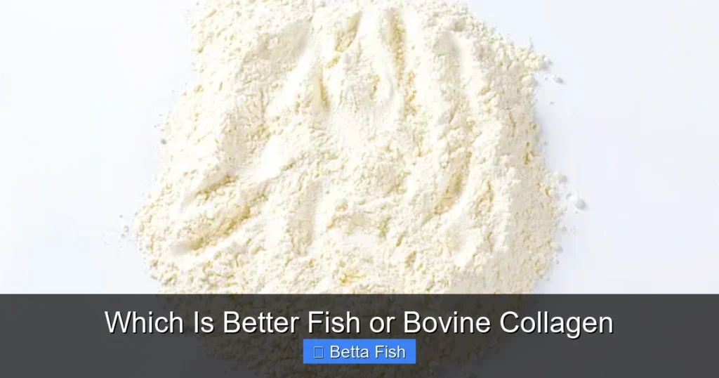 Which Is Better Fish or Bovine Collagen