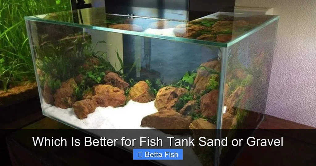 Which Is Better for Fish Tank Sand or Gravel