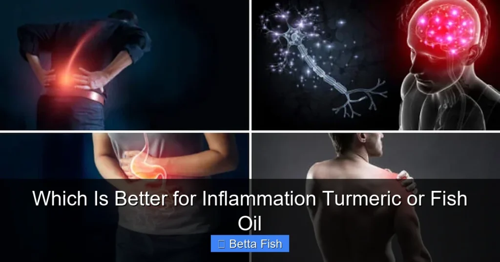 Which Is Better for Inflammation Turmeric or Fish Oil